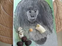 page1_pictures/blackback_gorilla.jpg