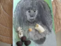 page1_pictures/blackback_gorilla_thumb.jpg