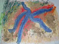 page1_pictures/blue_sea_star.jpg