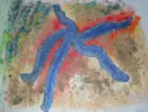 page1_pictures/blue_sea_star_thumb.jpg