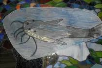 page1_pictures/catfish.jpg