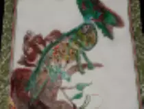 page1_pictures/chameleon_thumb.jpg