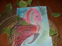 page1_pictures/flamingo.jpg