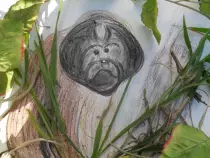 page1_pictures/orangutan.jpg