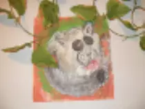 page1_pictures/panda_baby_thumb.jpg
