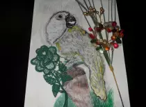 page1_pictures/parrot.jpg