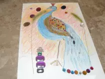 page1_pictures/pretty_peacock.jpg