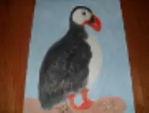 page1_pictures/puffin_thumb.jpg