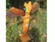 page1_pictures/totem_pole_thumb.jpg