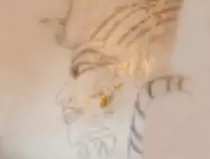 page1_pictures/tutankhamun_thumb.jpg