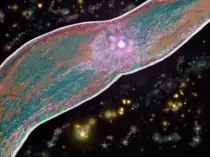 page1_pictures/twin_jet_nebula.jpg