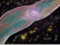 page1_pictures/twin_jet_nebula_thumb.jpg