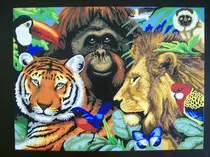 page2_pictures/tropical_jungle.jpg