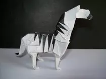 page2_pictures/zebra.jpg