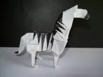page_daren_pictures/zebra.jpg