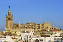 img/giralda.jpg