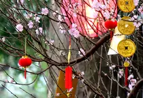 teaching/assets/images/Travels,Vietnam,Ha-Noi.png