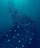 Gif/tumblr.gif