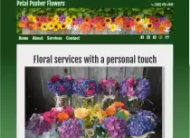 img/portfolio/petalpusher.png