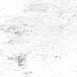 bg_d.gif