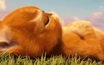 p4/7.gif