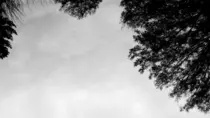 img/bg5.png