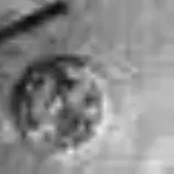 10822671_1543780485867291_541569116_n.jpg