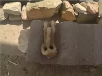 ausgrabungen.gif