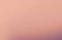 My Web App/assets/css/images/bg.jpg
