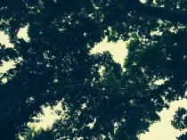 background5.jpg
