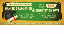 mnawf_graduation-orientation_website-banner_may-2015_0.png
