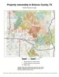 maps/briscoe-terrain2.jpeg
