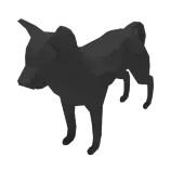 img/dog_black.png