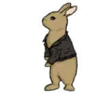 week10/babybunny.png