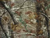 week2/mossyoak.jpg