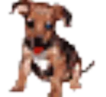 week7/puppy.gif