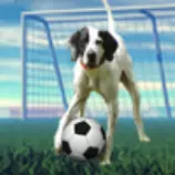week8/soccerdog.png