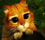 ejercicio6/media/images/gato1.gif