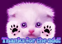 ejercicio6/media/images/gato5.gif
