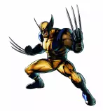 Wolverine.jpg