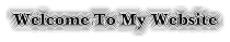 my_website.gif