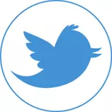 paginas/entrega_obligatoria2/imagenes/twitter.png