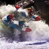 images/img1.jpg