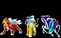 images/l1.jpg