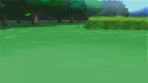 images/poke.png