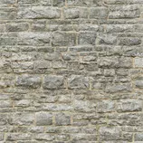 Backg.jpg