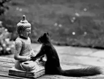 Buddha-i-belka.jpg
