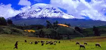 img/andes.jpg