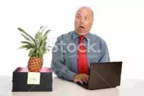 bgs/pineapple.jpg