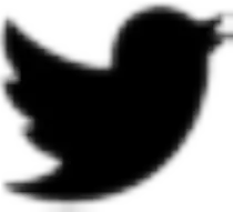images/twitter.png
